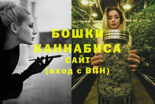 тгк Каменка