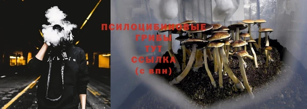 гидра Каменск-Шахтинский