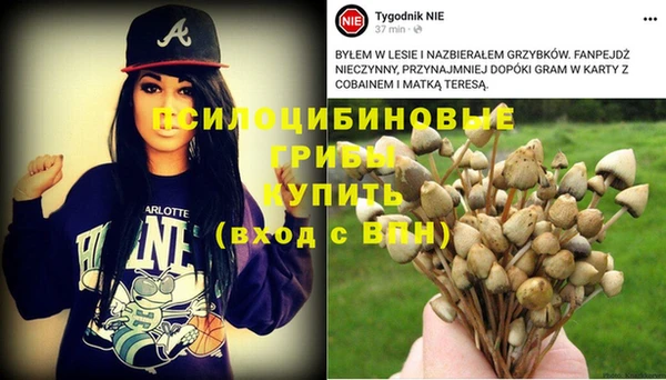 гидра Каменск-Шахтинский