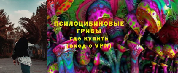 ешки Каменногорск
