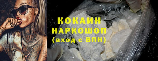 тгк Каменка