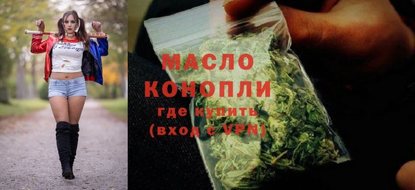 тгк Каменка