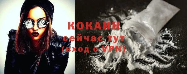 ешки Каменногорск