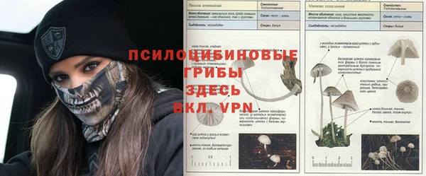 тгк Каменка