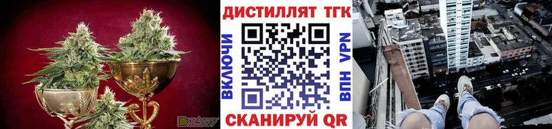 Купить  Кудымкар  ТГК концентрат 